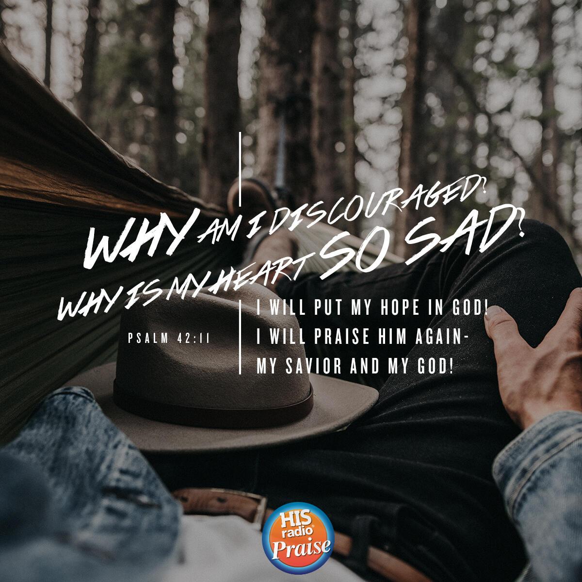Psalm 42:11 - Verse of the Day