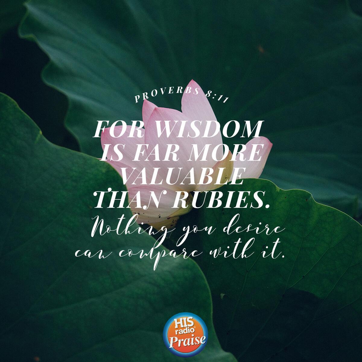 Proverbs 8:11 - Verse of the Day
