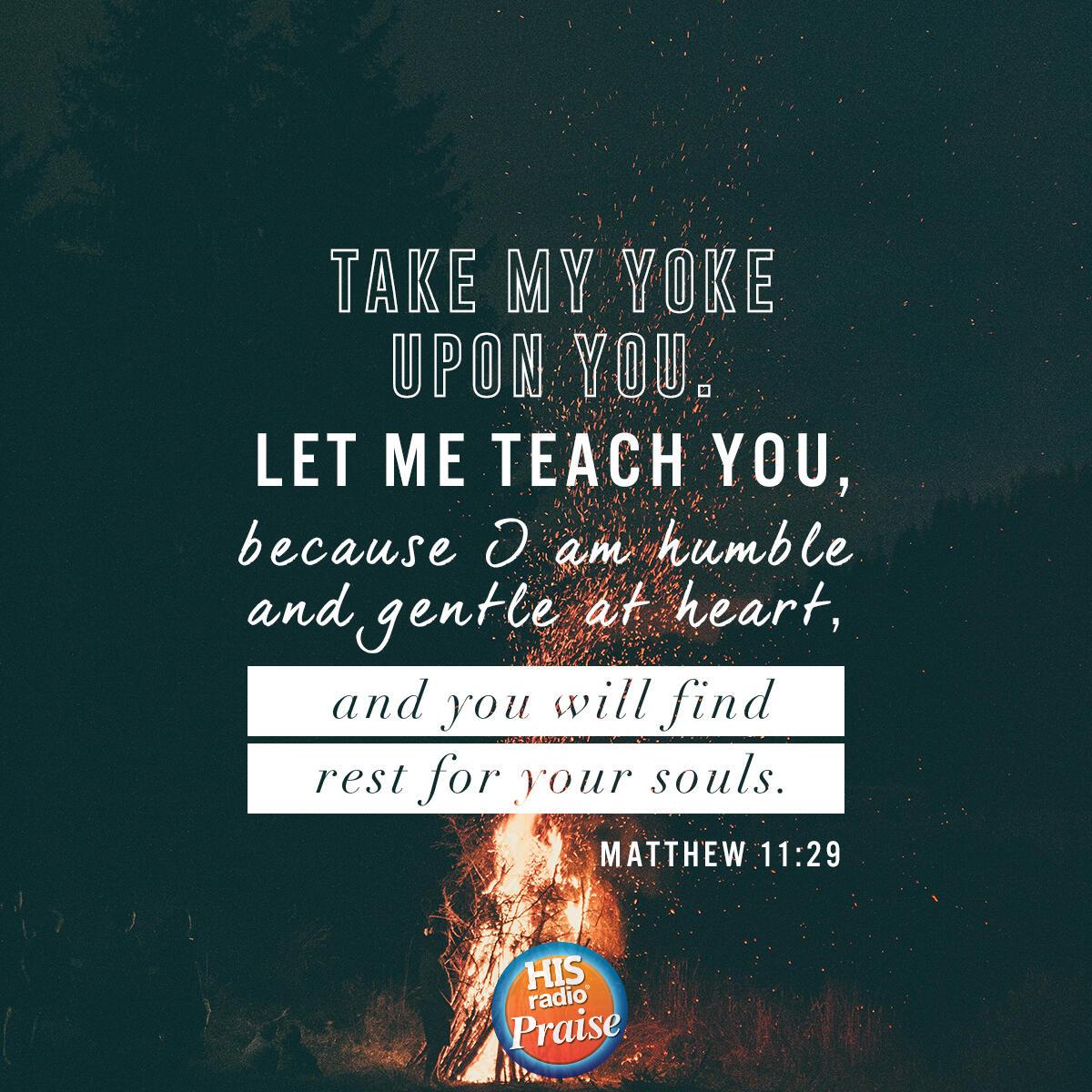 Matthew 11:29 - Verse of the Day