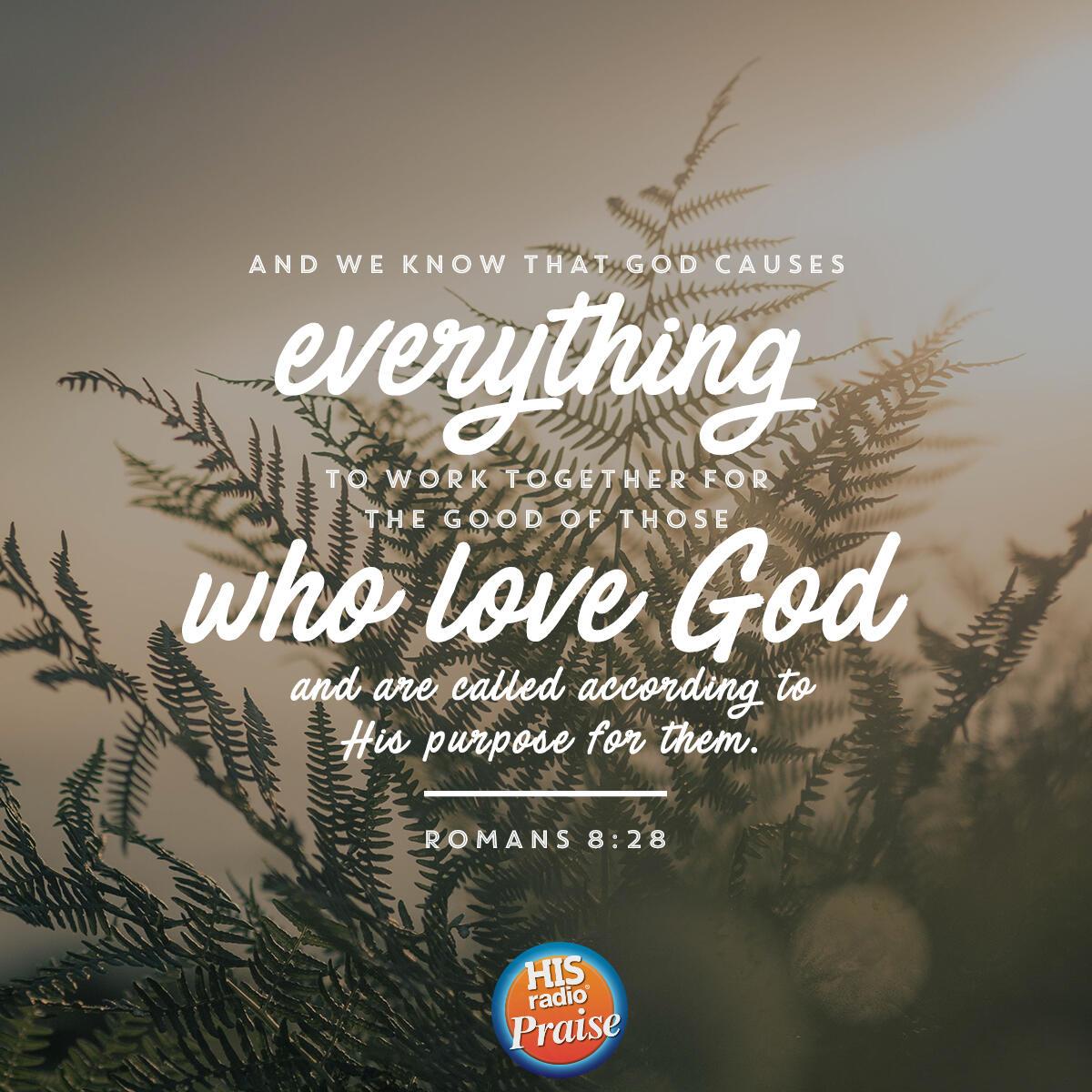 Romans 8:28 - Verse of the Day