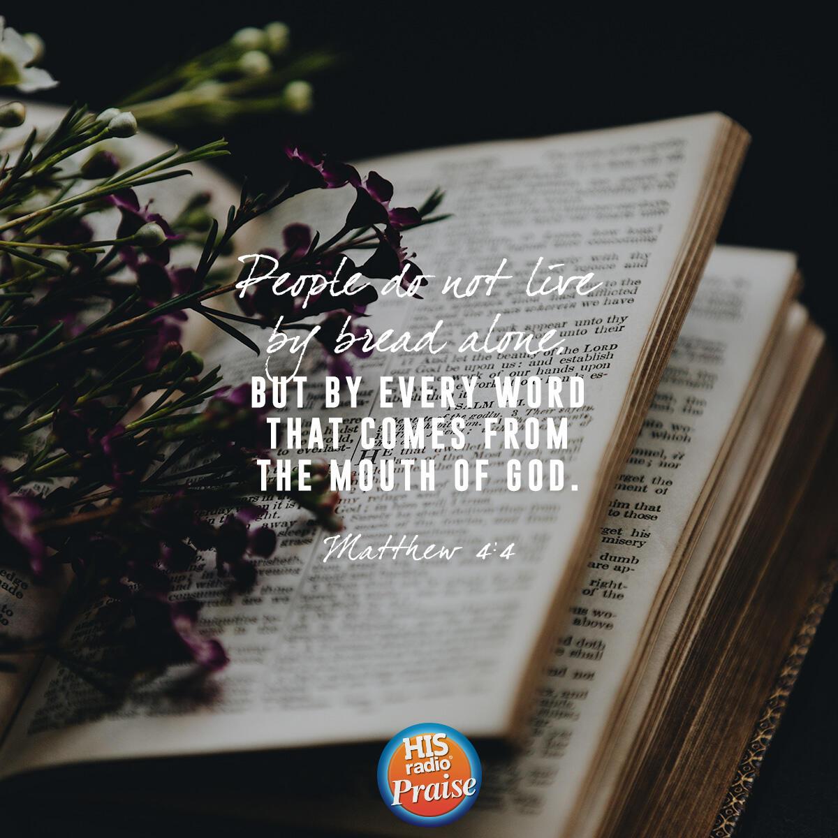 Matthew 4:4 - Verse of the Day