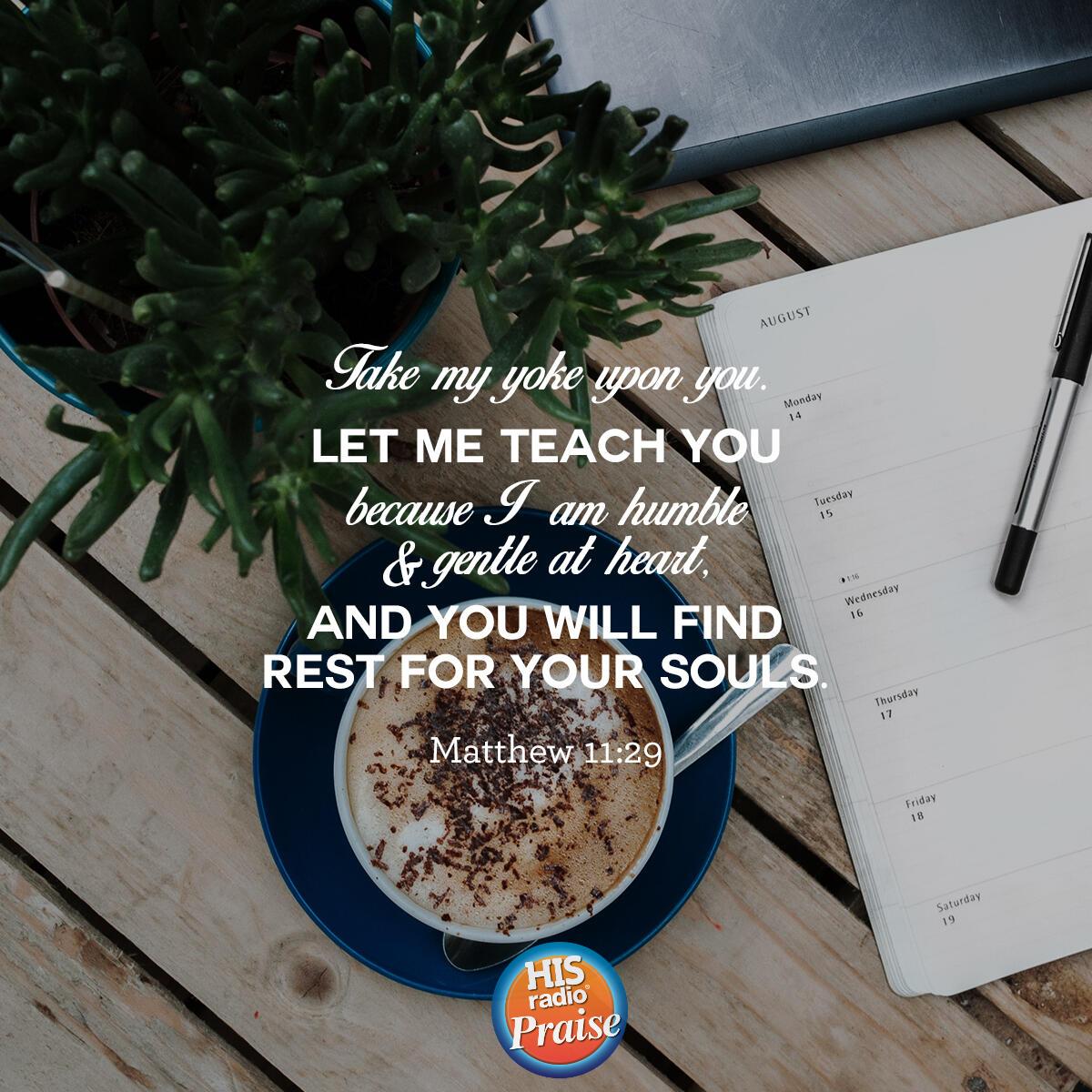 Matthew 11:29 - Verse of the Day