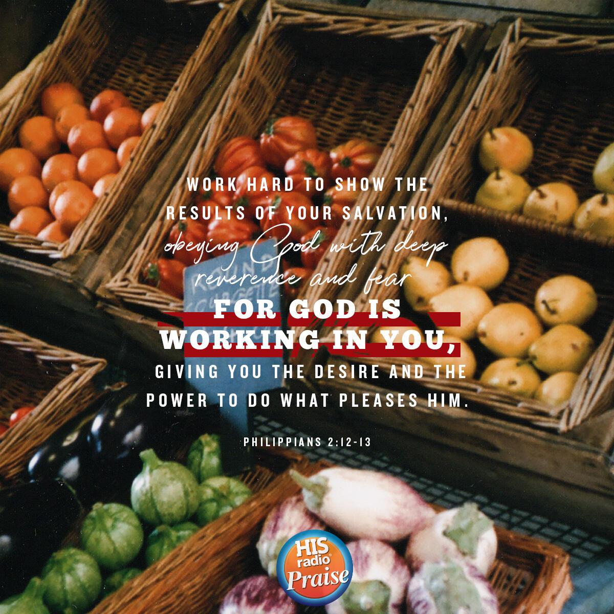 Philippians 2:12-13 - Verse of the Day