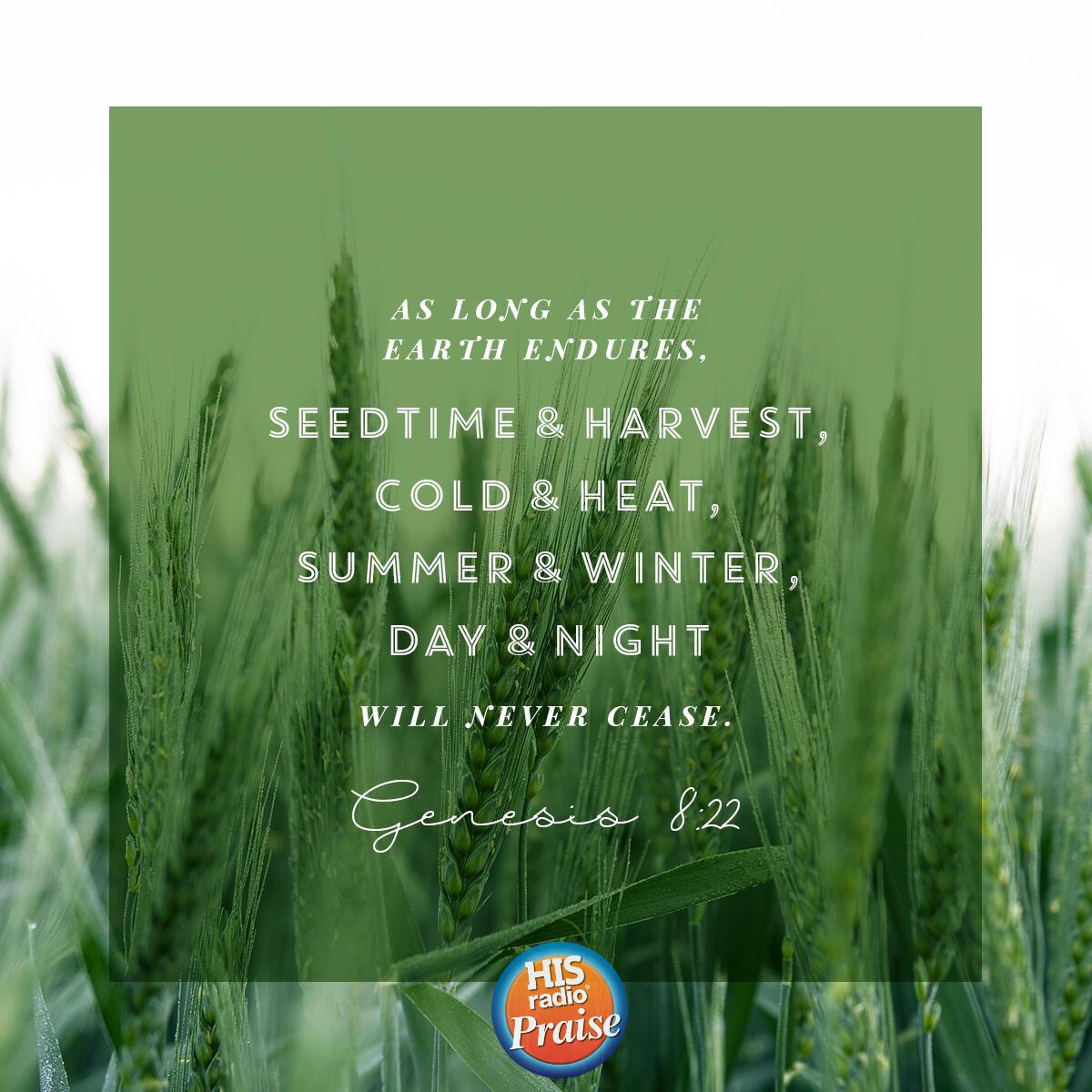 Genesis 8:22 - Verse of the Day
