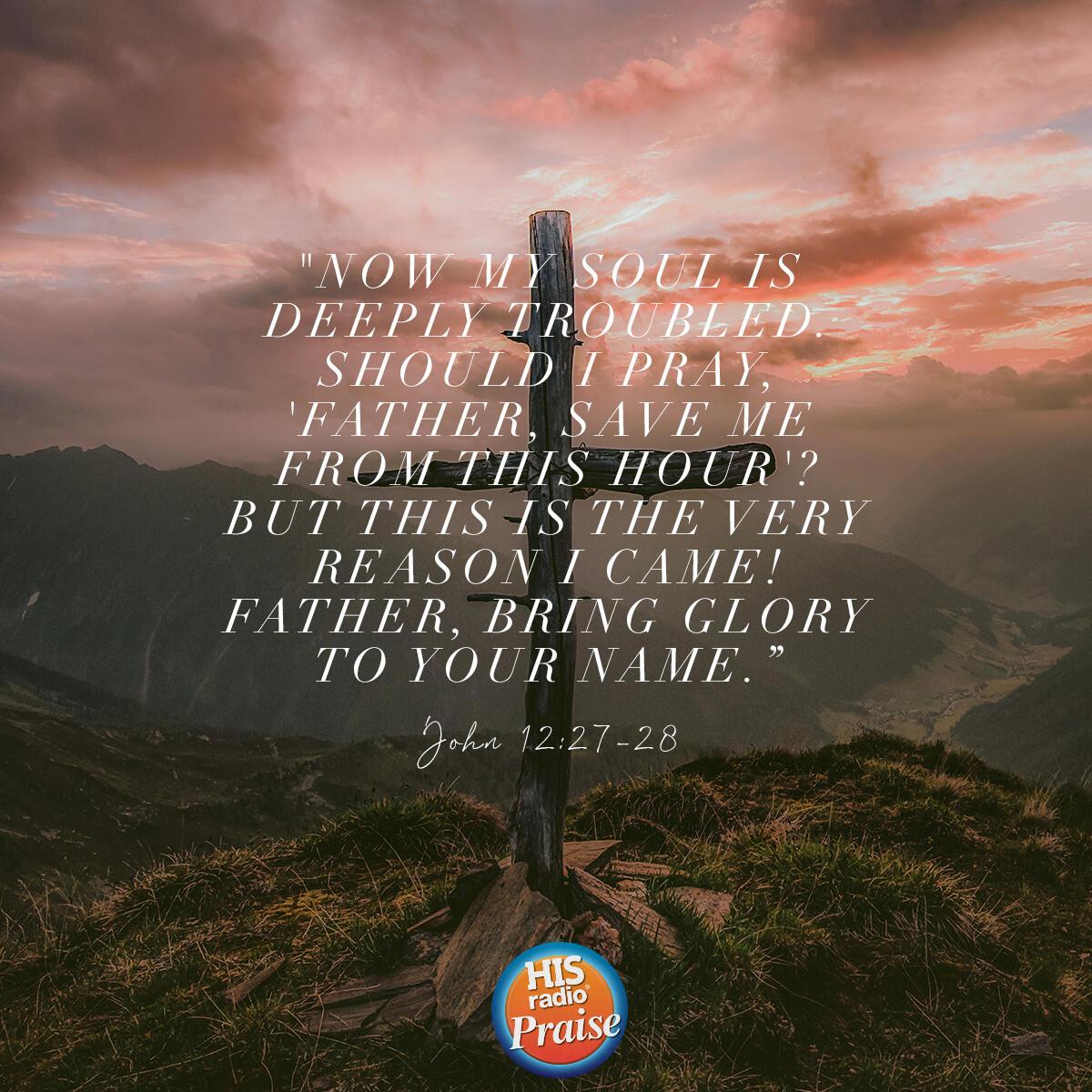 John 12:27-28 - Verse of the Day