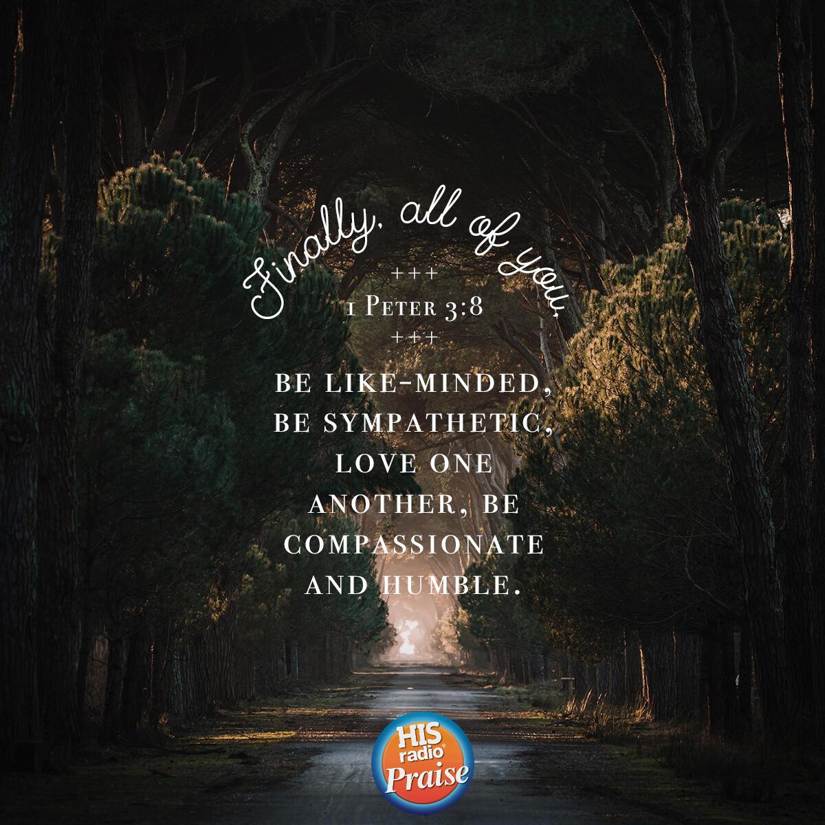 1 Peter 3:8 - Verse of the Day