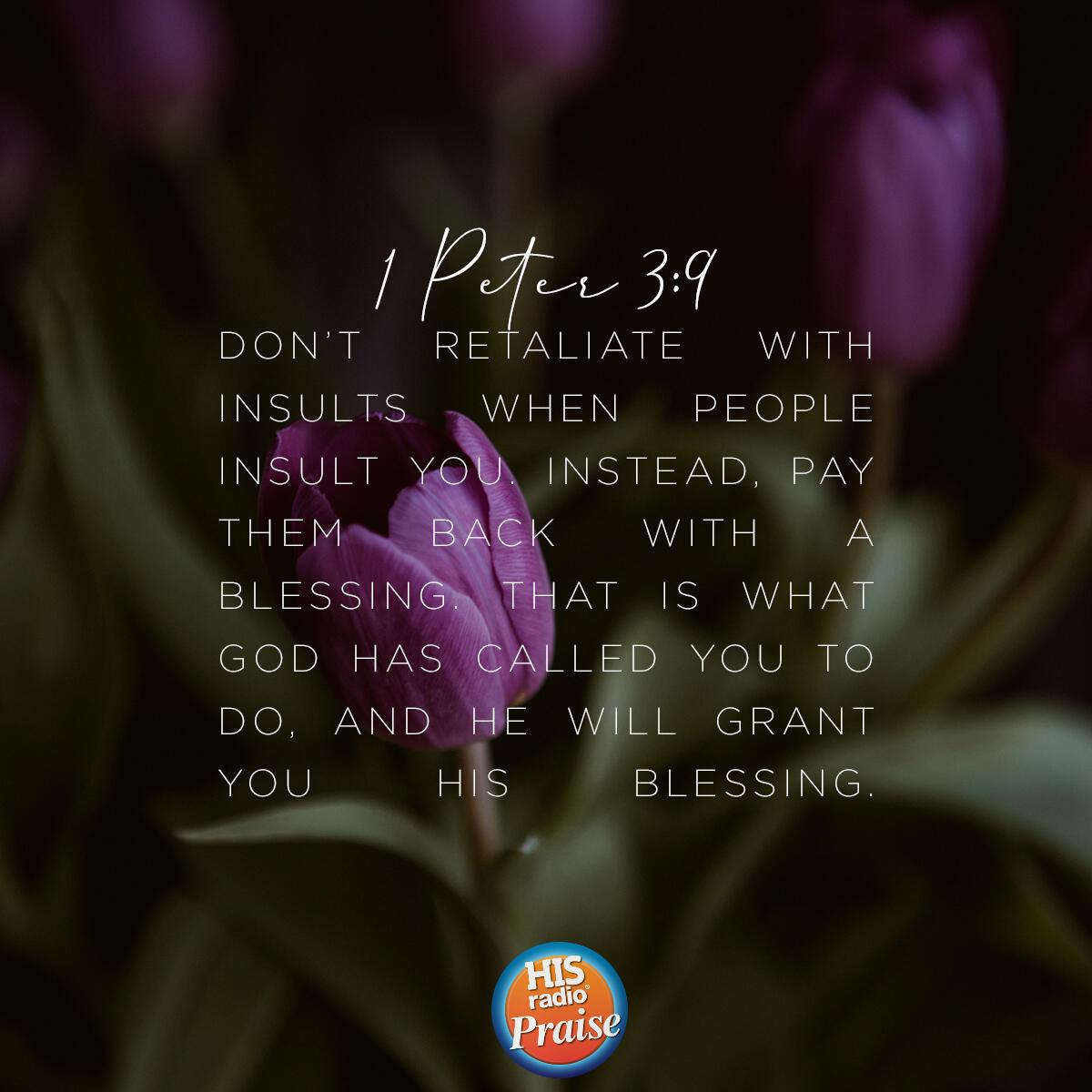 1 Peter 3:9 - Verse of the Day