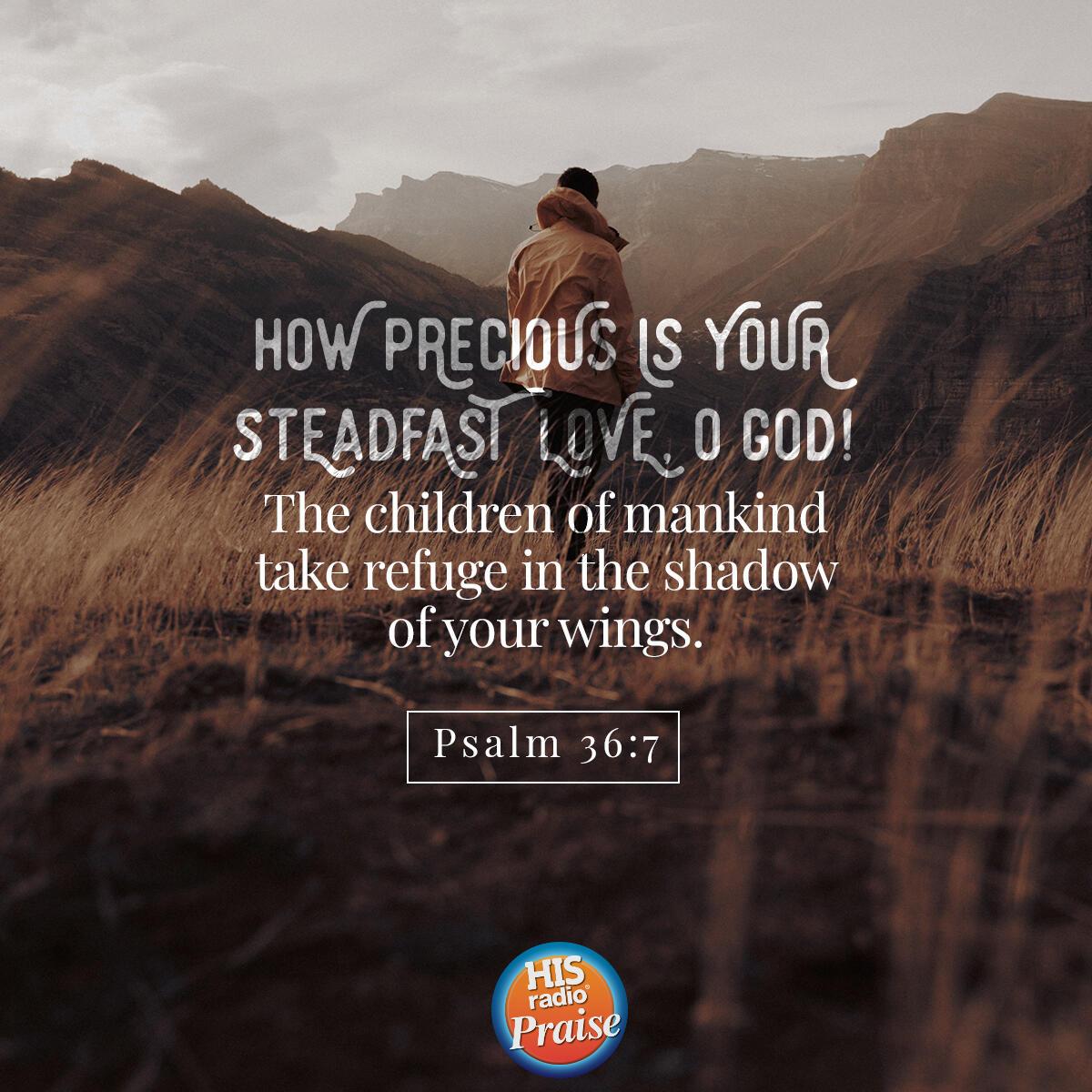 Psalm 36:7 - Verse of the Day
