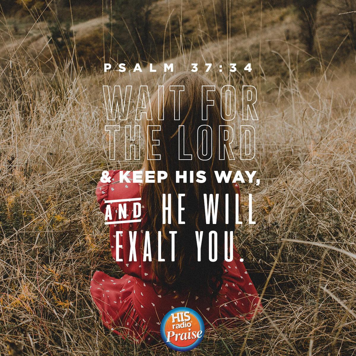 Psalm 37:34 - Verse of the Day