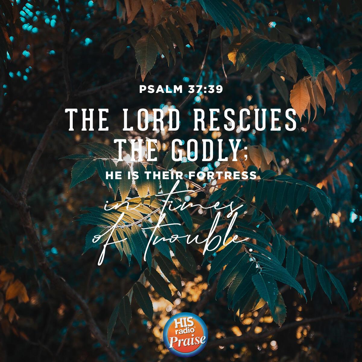 Psalm 37:39 - Verse of the Day