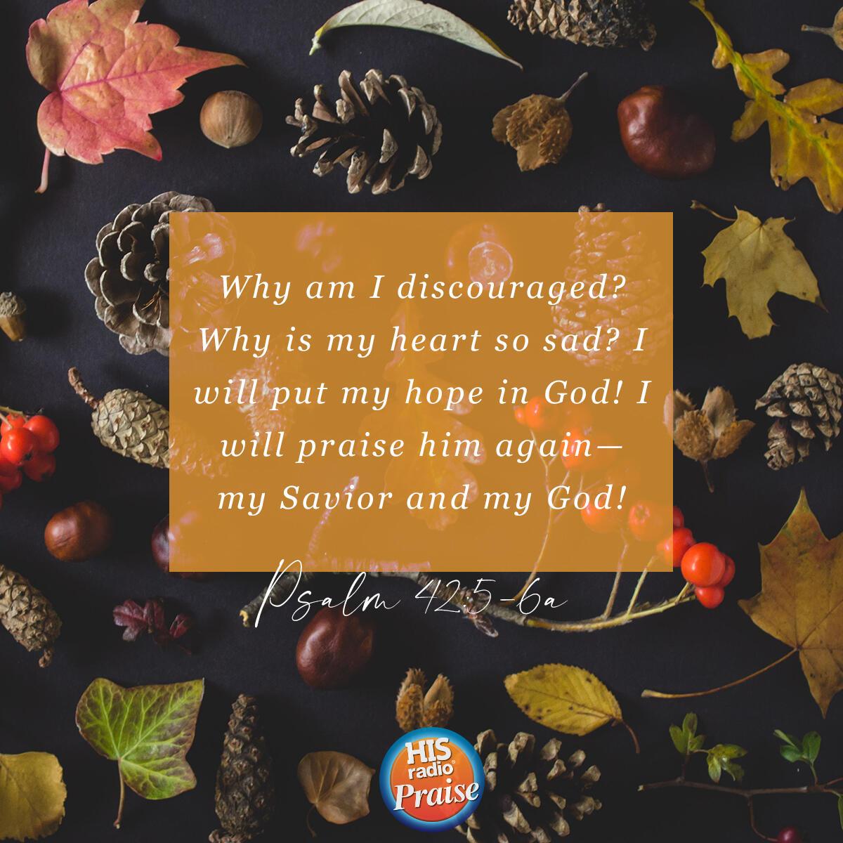Psalm 42:5-6a - Verse of the Day