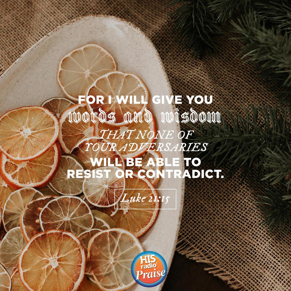 Luke 21:15 - Verse of the Day