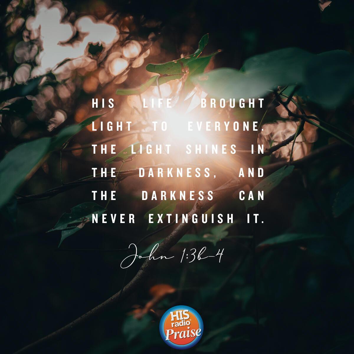 John 1:3b-4 - Verse of the Day