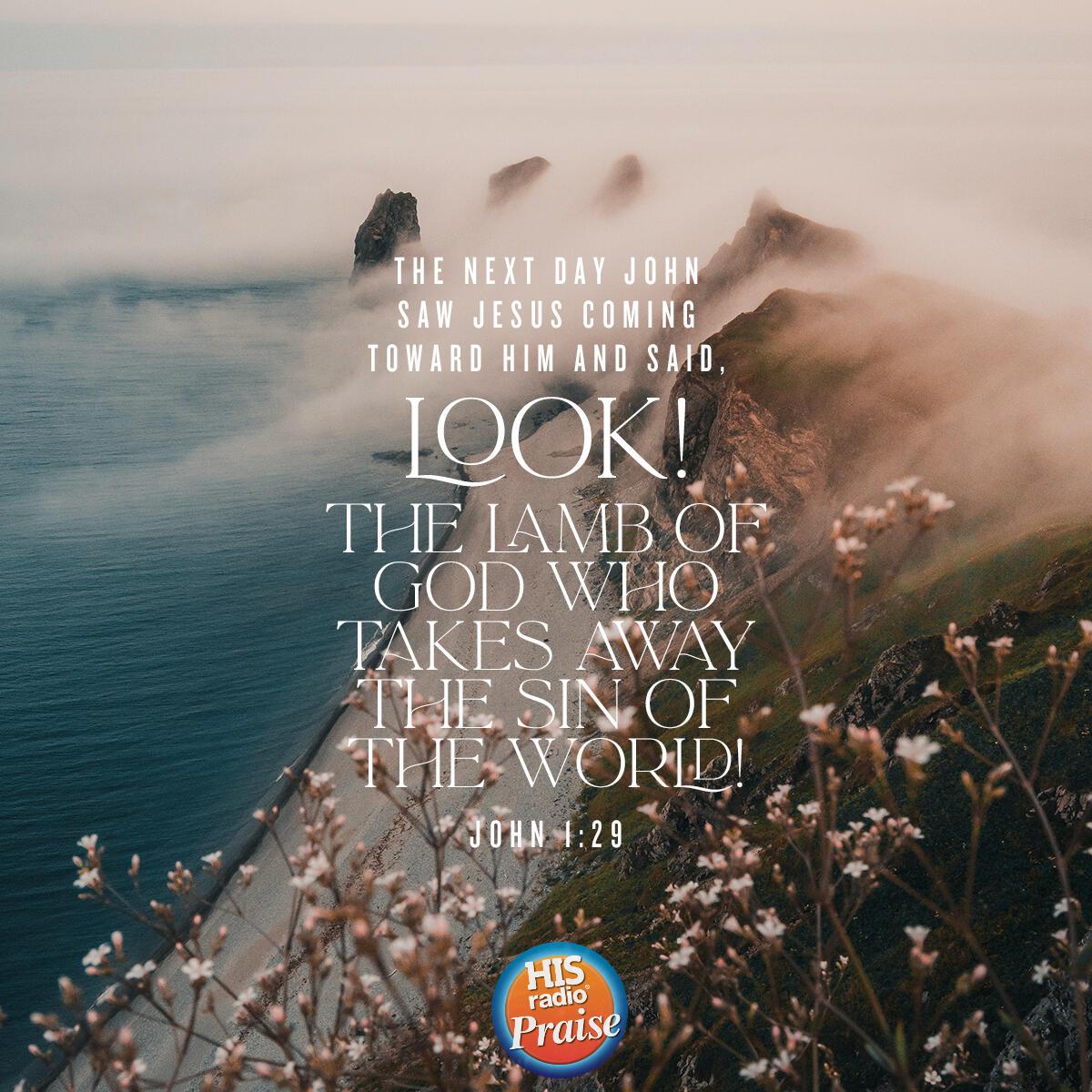 John 1:29 - Verse of the Day