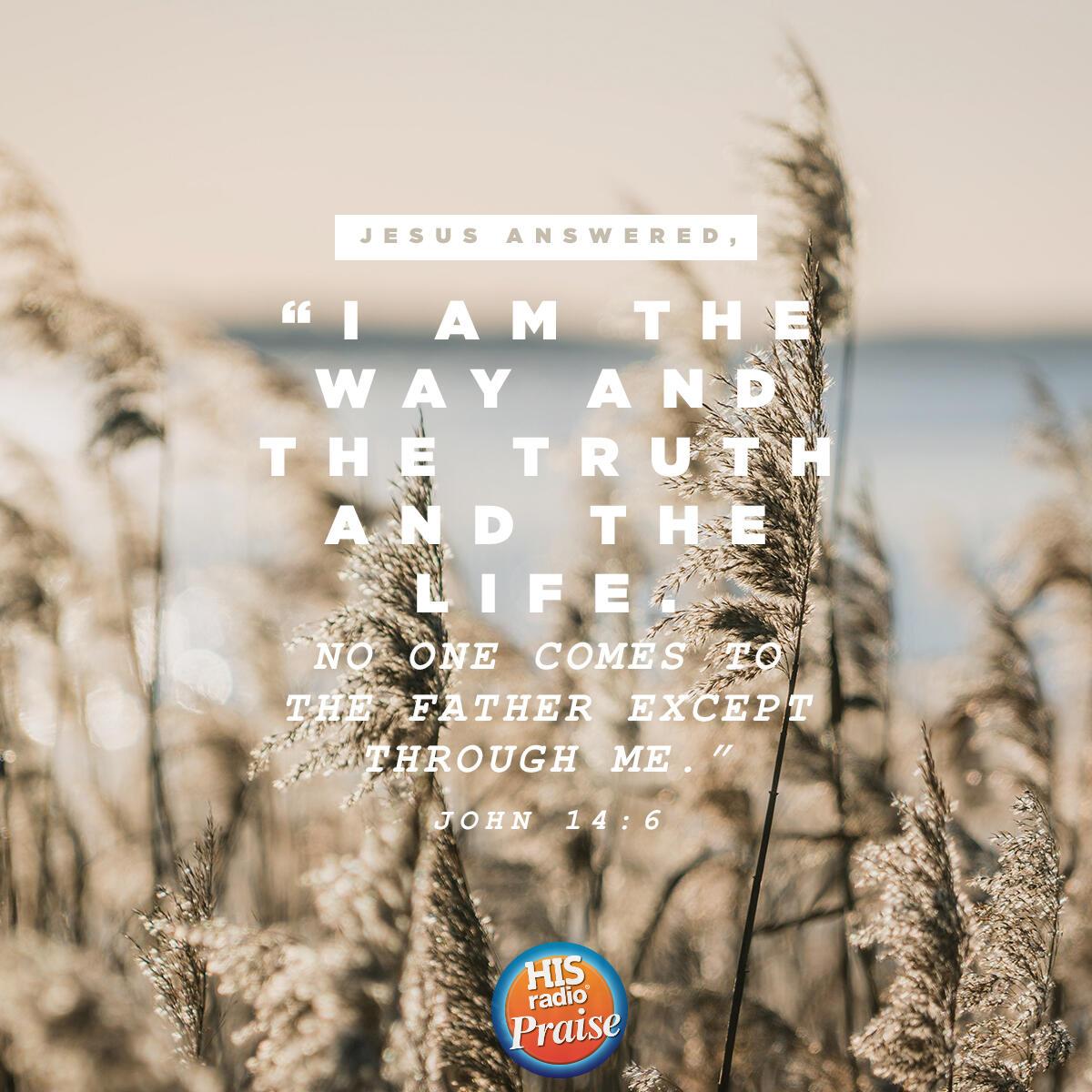 John 14:6 - Verse of the Day