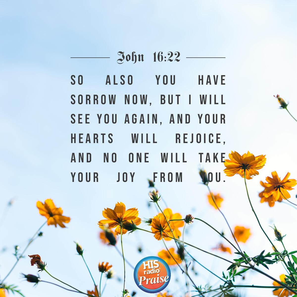 John 16:22 - Verse of the Day