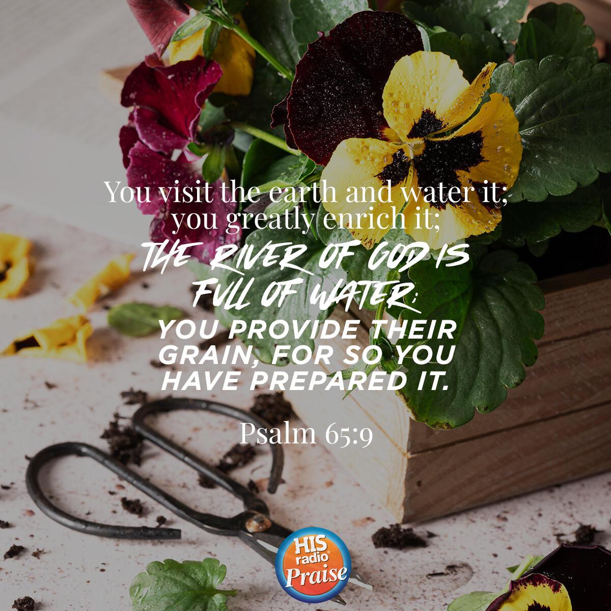 Psalm 65:9 - Verse of the Day