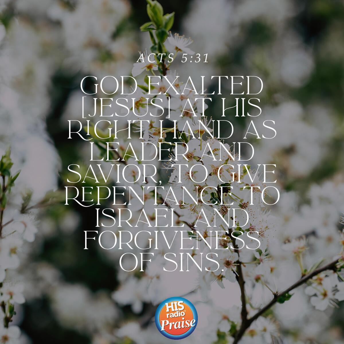 Acts 5:31 - Verse of the Day