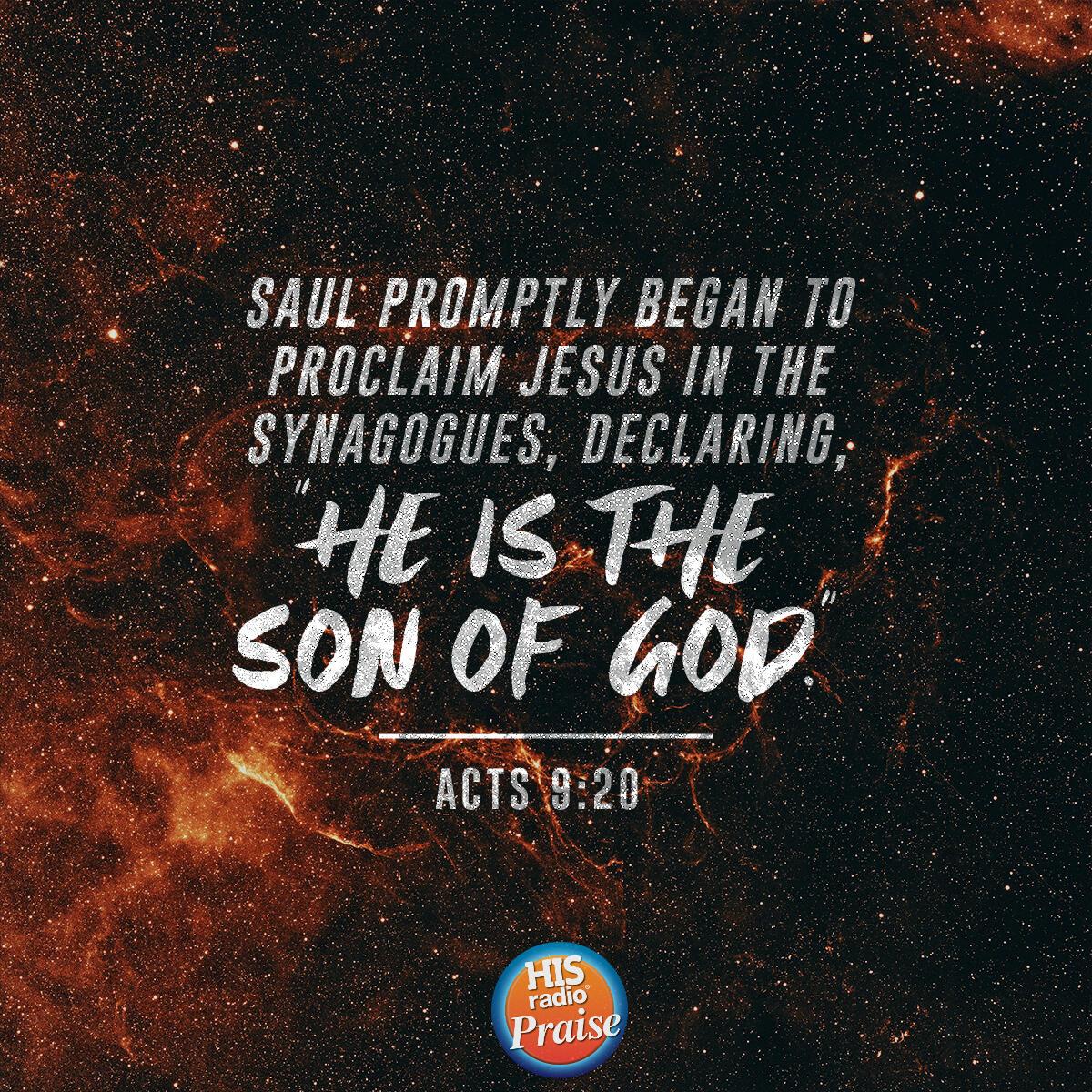 Acts 9:20 - Verse of the Day