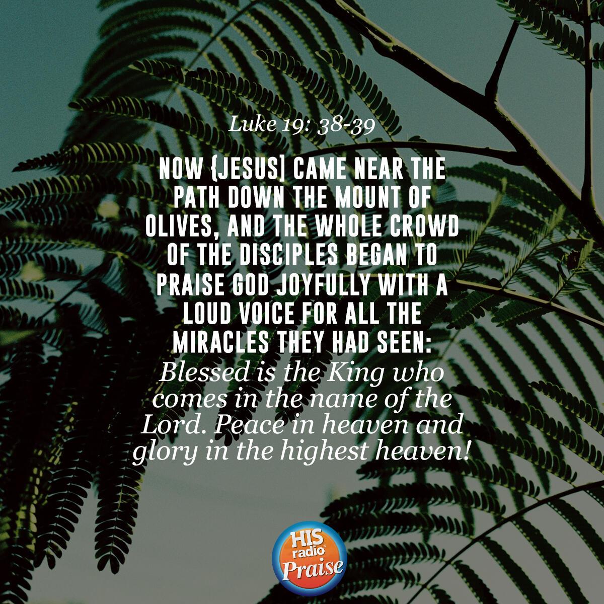Luke 19: 38-39 - Verse of the Day