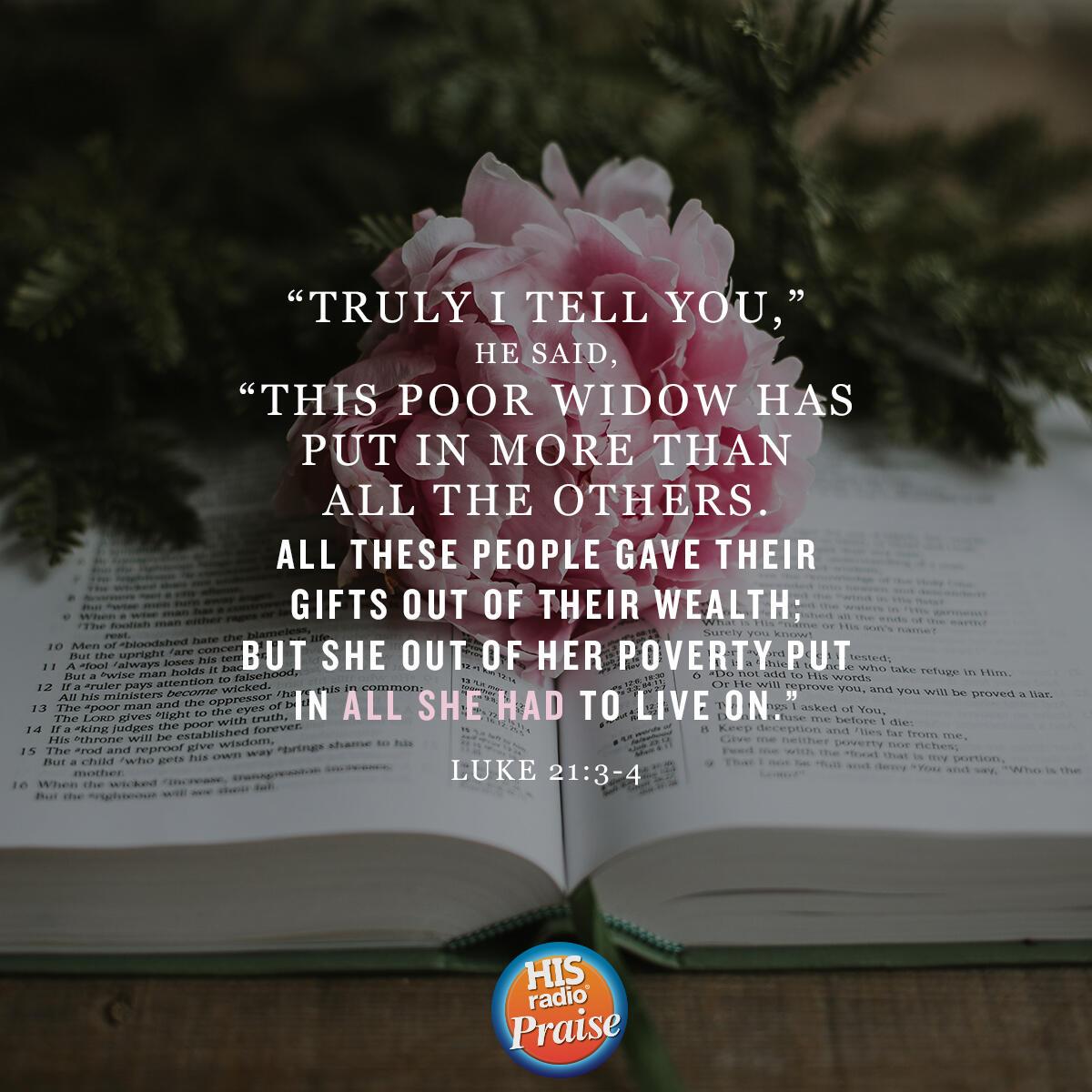 Luke 21:3-4 - Verse of the Day