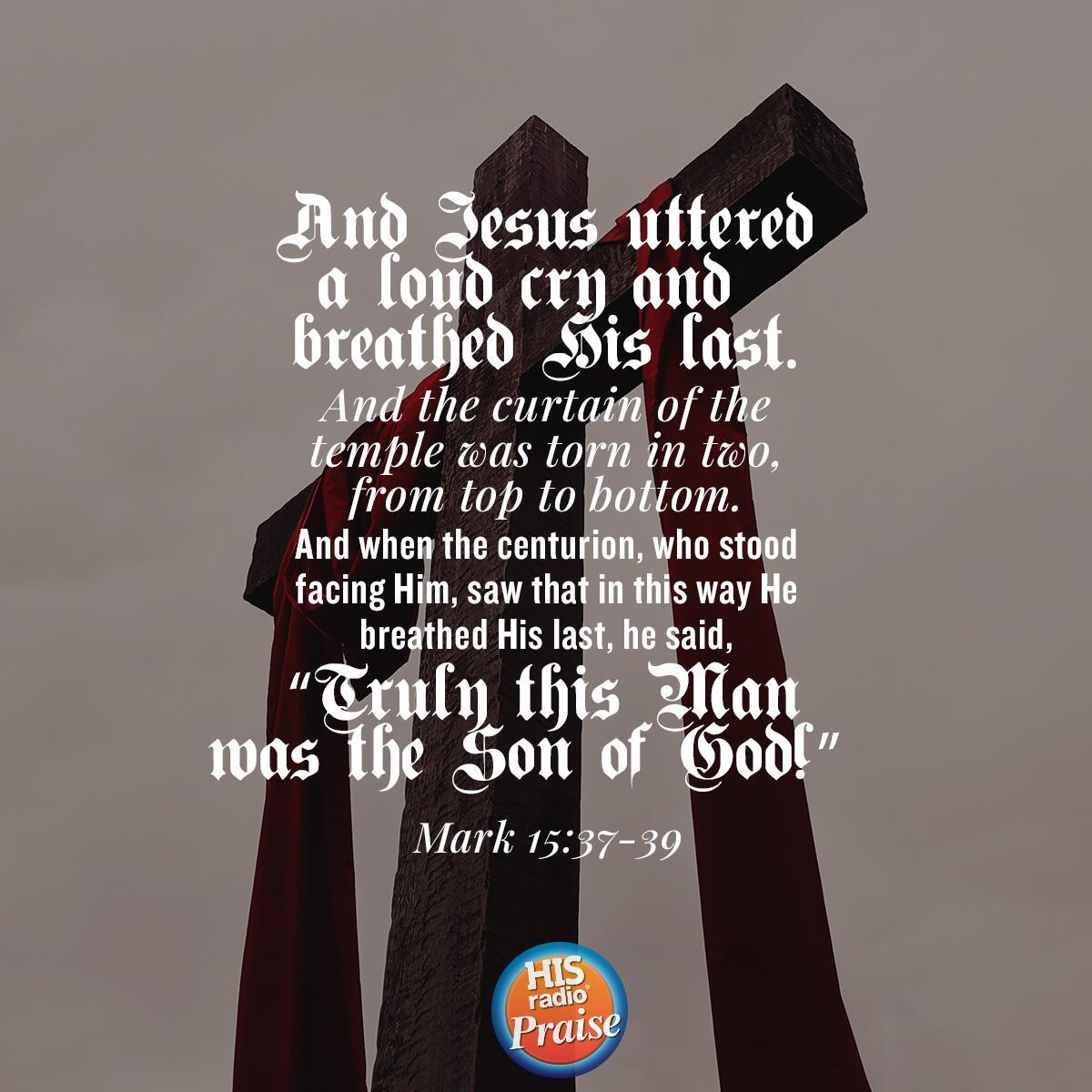 Mark 15:37-39 - Verse of the Day