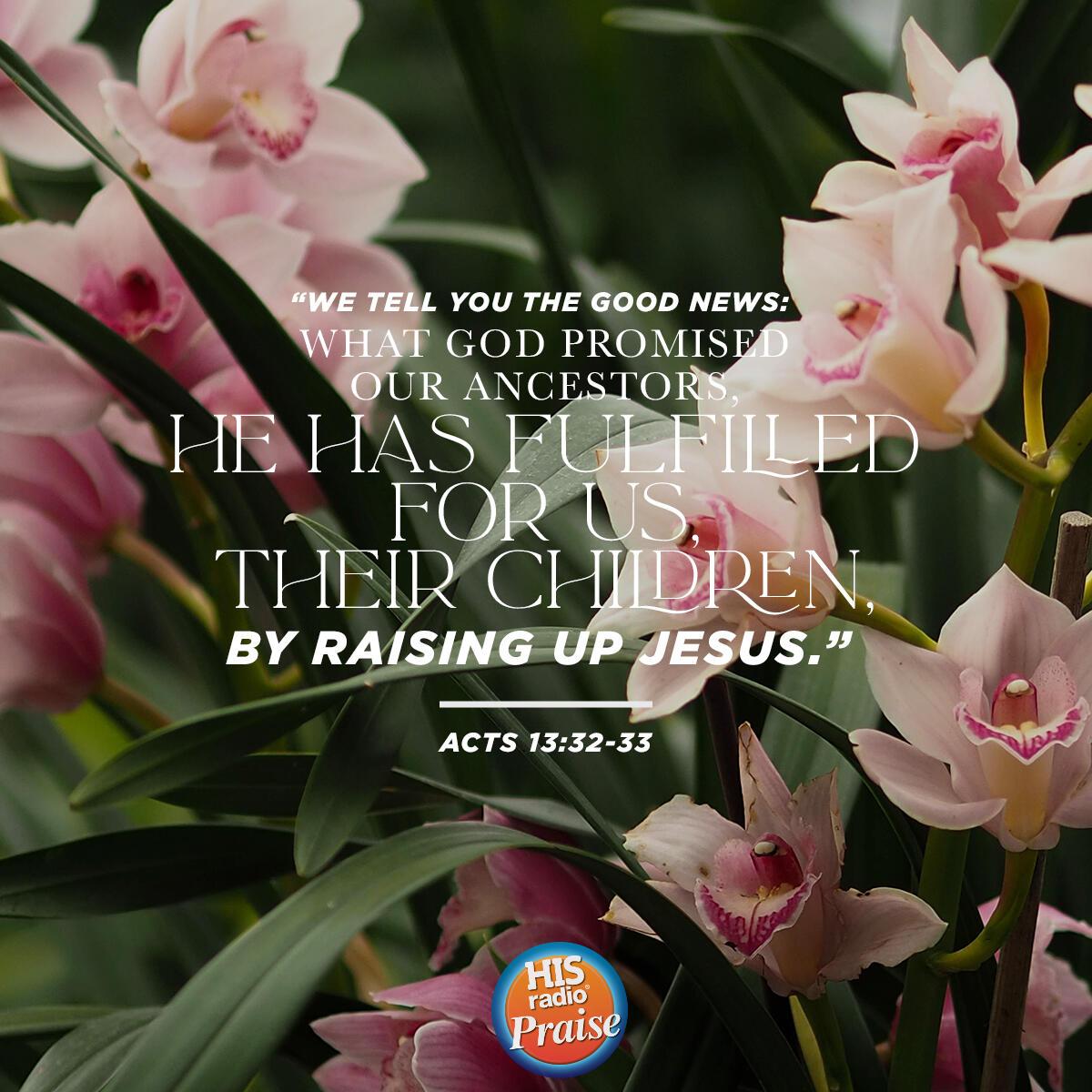 Acts 13:32-33 - Verse of the Day