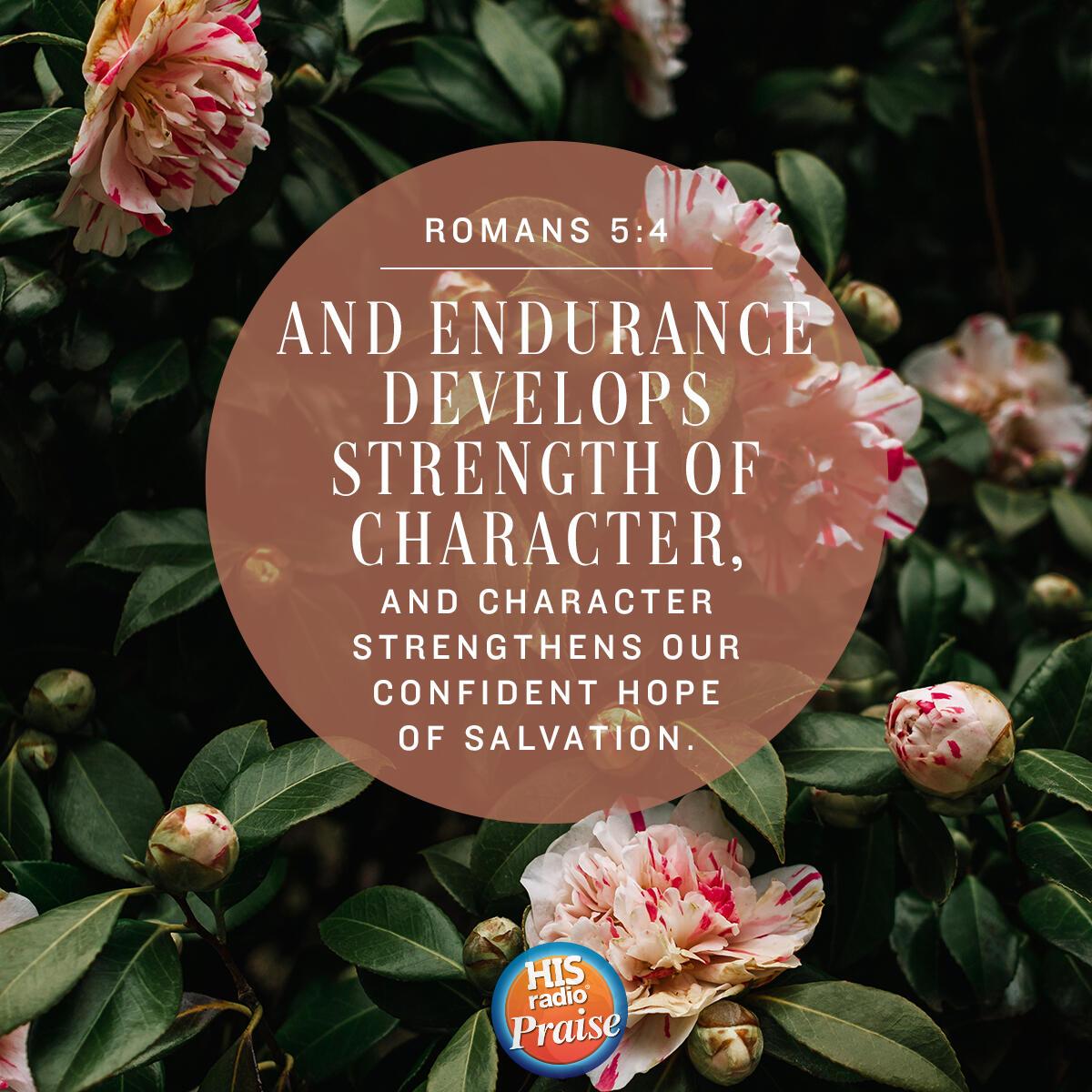 Romans 5:4 - Verse of the Day