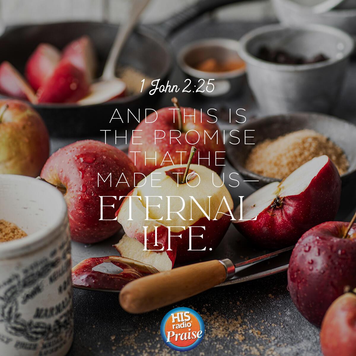 1 John 2:25 - Verse of the Day
