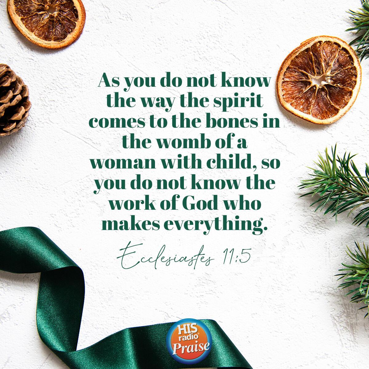 Ecclesiastes 11:5 - Verse of the Day