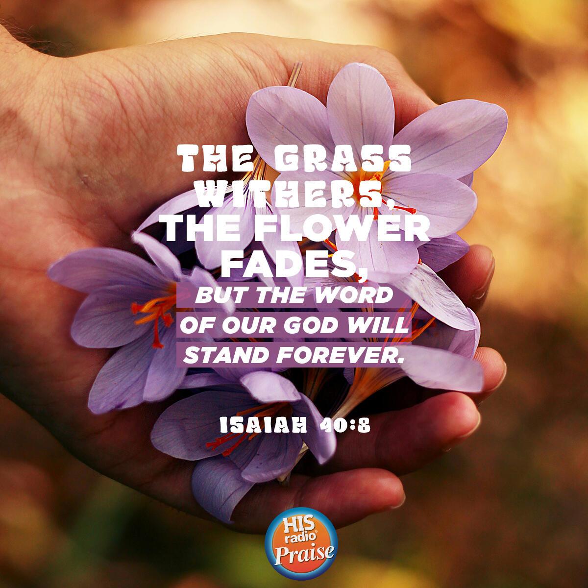 Isaiah 40:8 - Verse of the Day