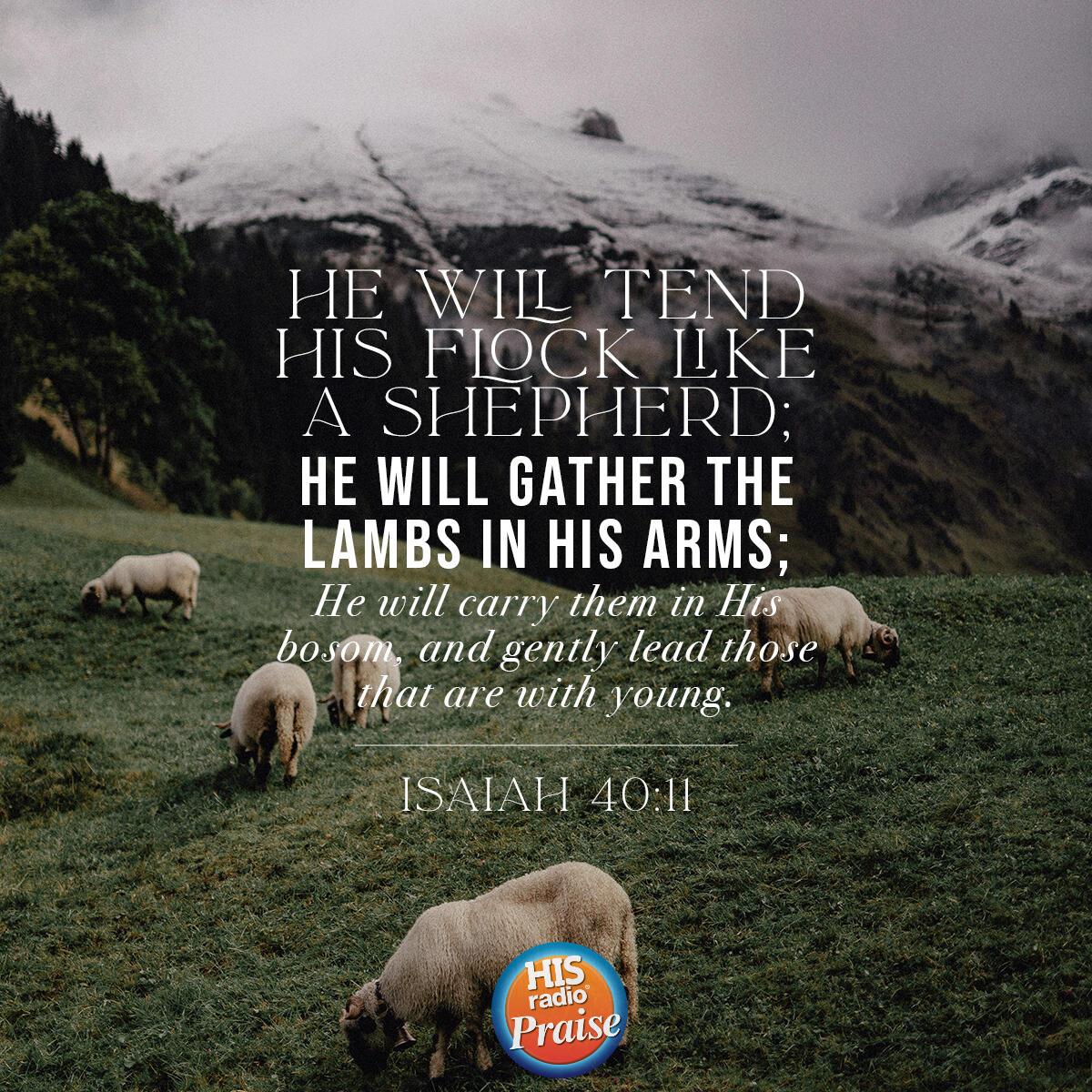 Isaiah 40:11 - Verse of the Day