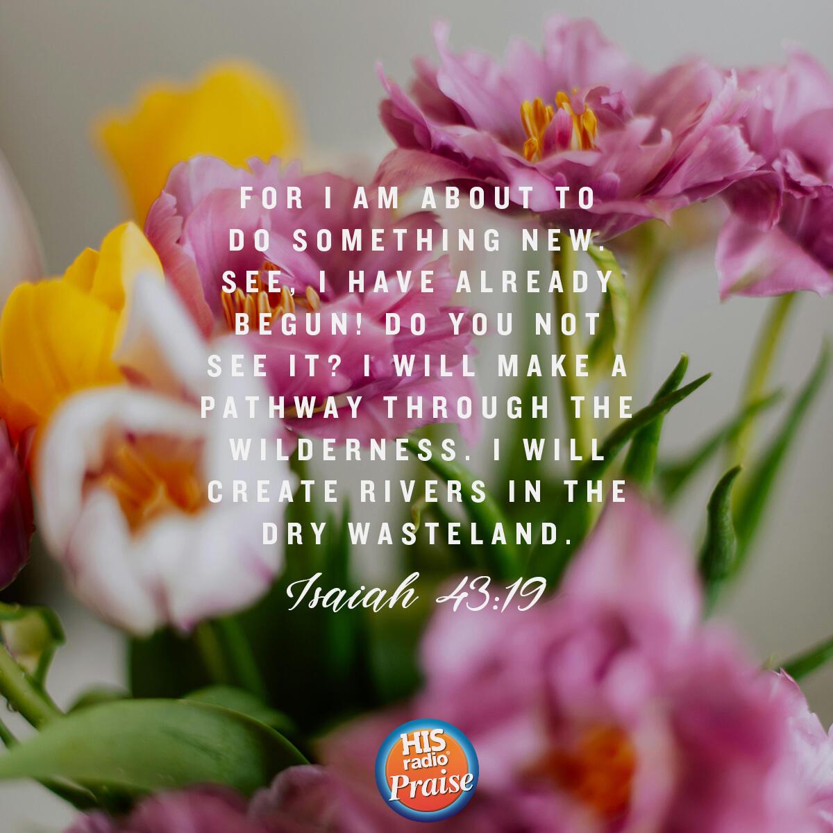Isaiah 43:19 - Verse of the Day