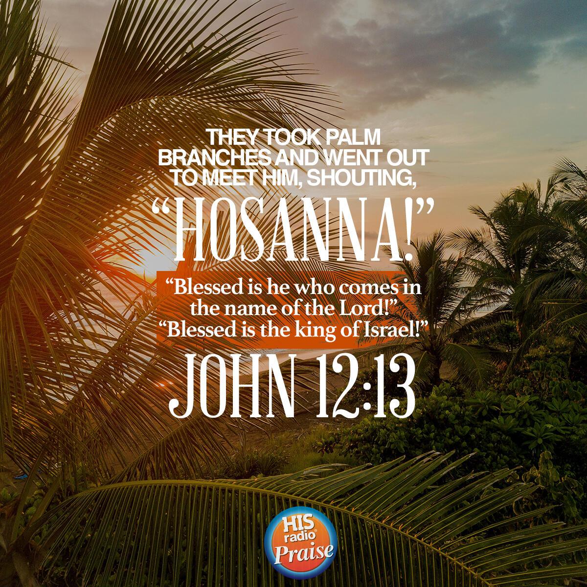 John 12:13 - Verse of the Day