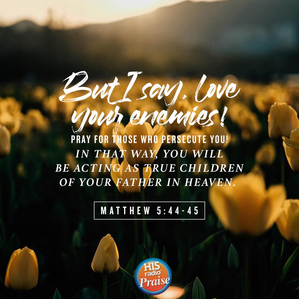 Matthew 5:44-45 - Verse of the Day
