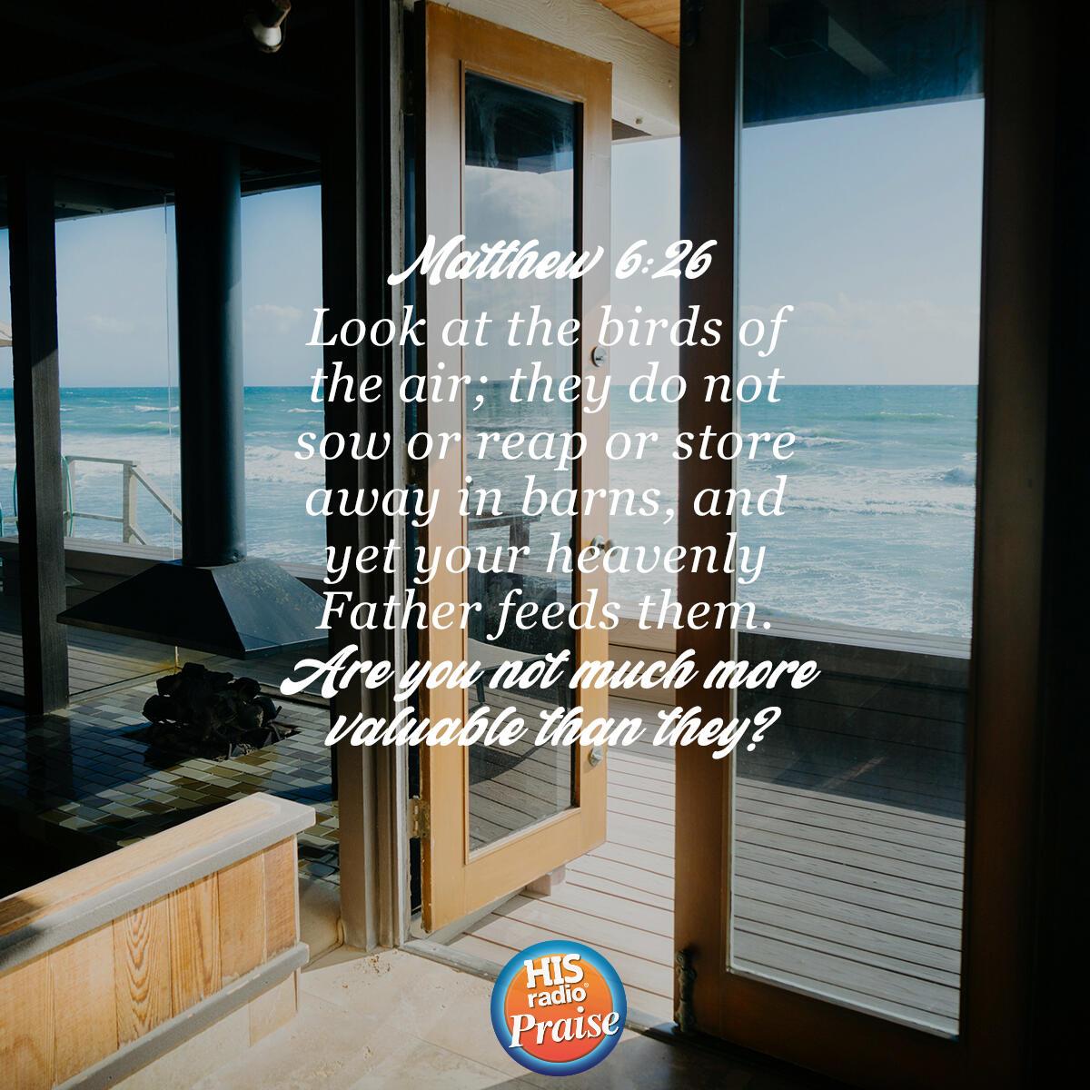 Matthew 6:26 - Verse of the Day