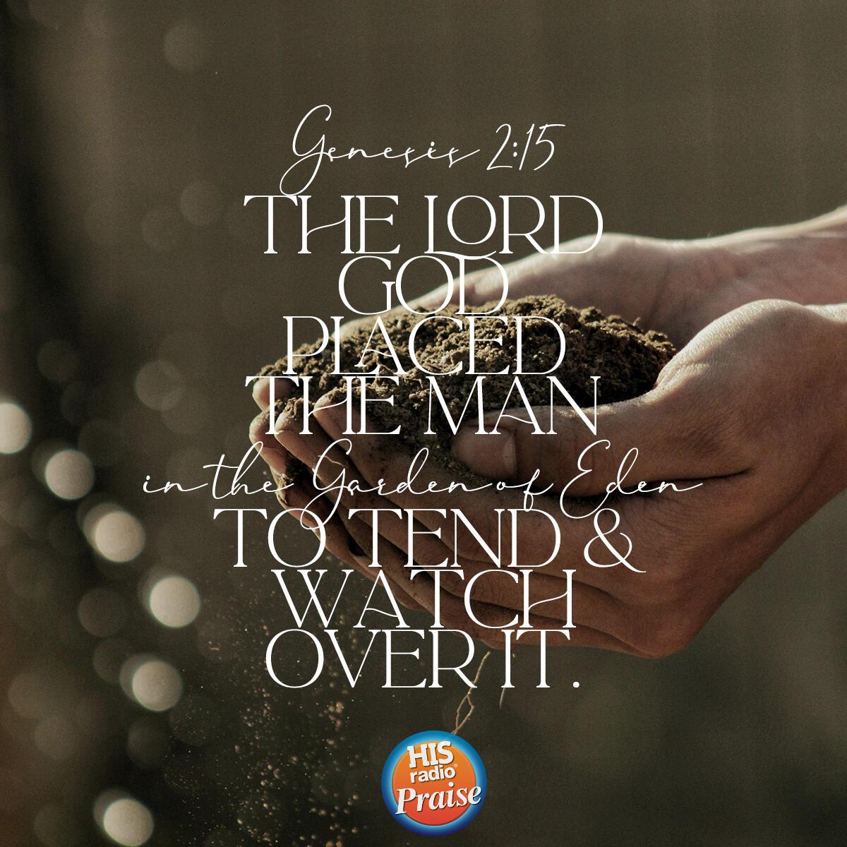 Genesis 2:15 - Verse of the Day