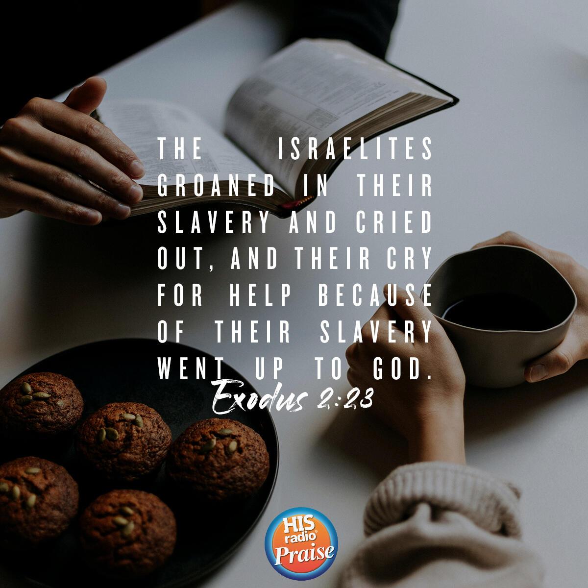 Exodus 2:23 - Verse of the Day