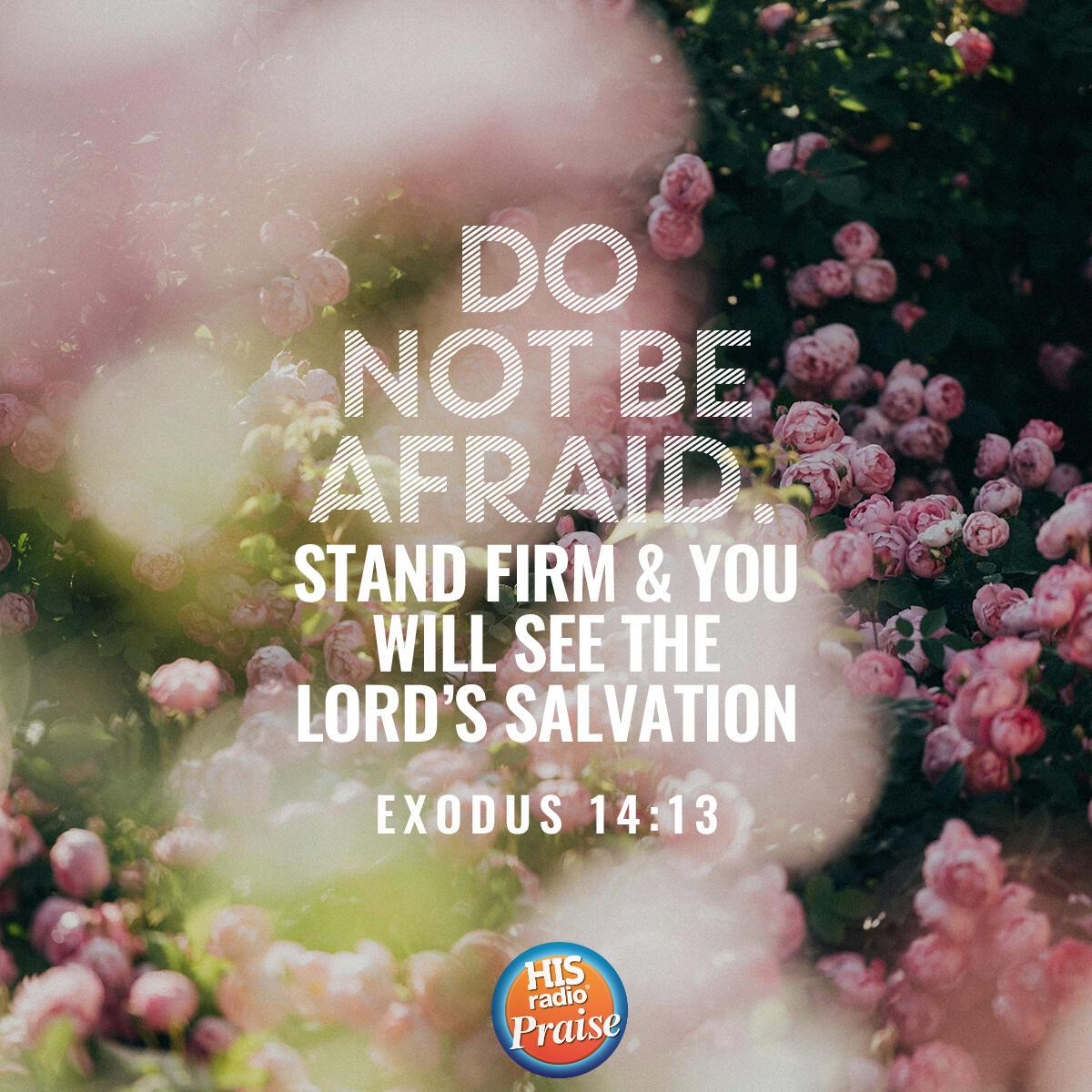 Exodus 14:13 - Verse of the Day