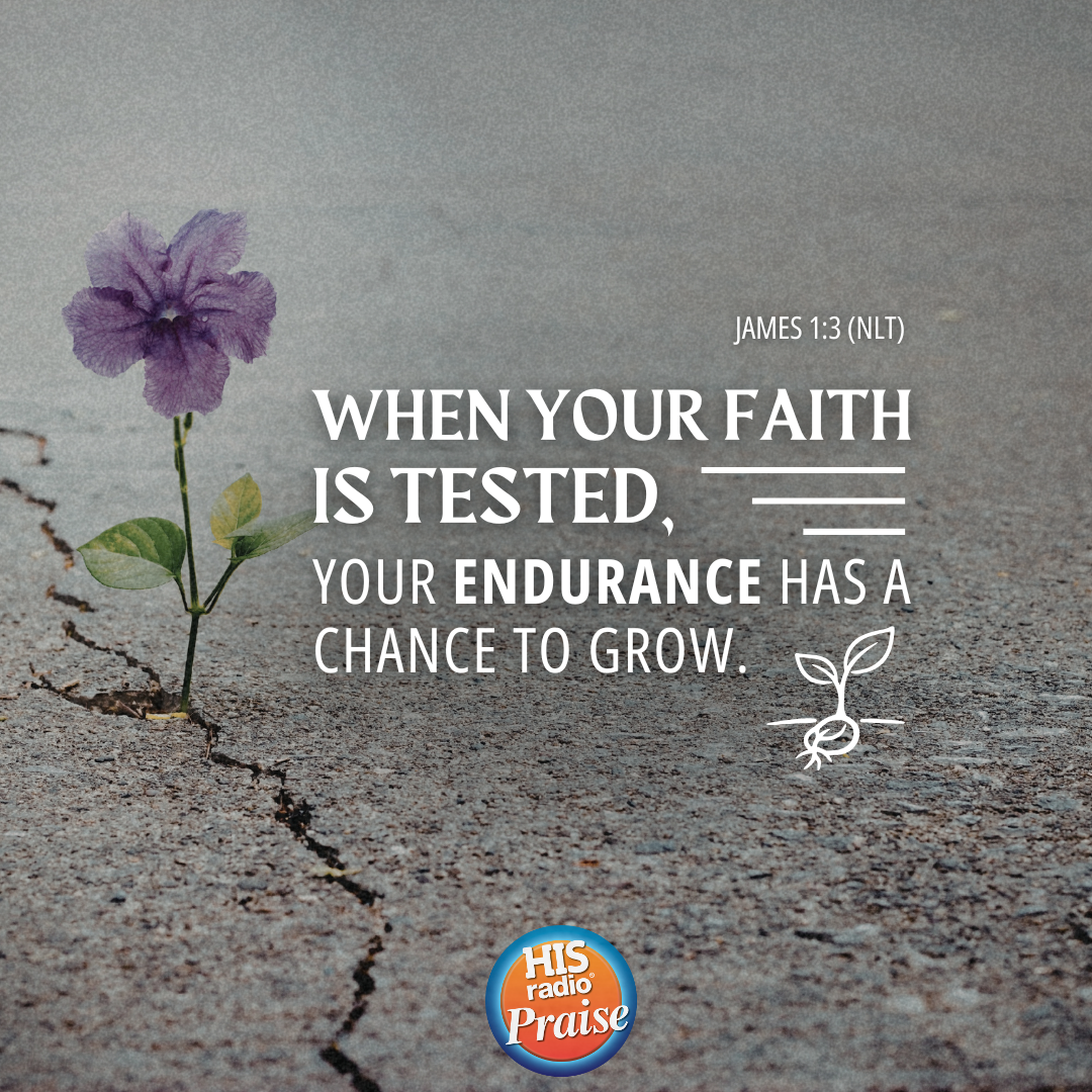 James 1:3 - Verse of the Day